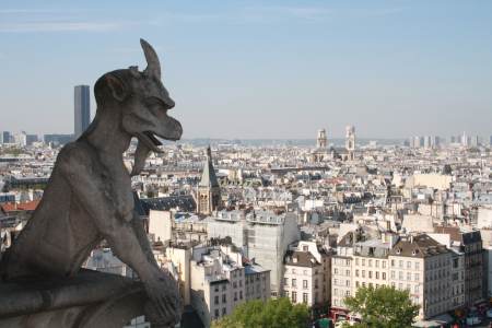 Vistas desde las Torres de notre dame de París 